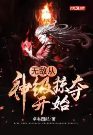 《无敌从神级掠夺开始》小说封面