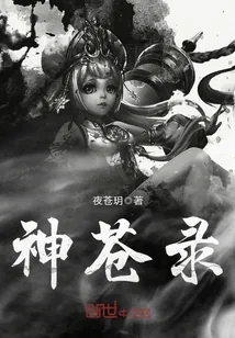 《神苍录》小说封面