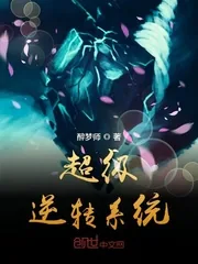 《超级逆转系统》小说封面