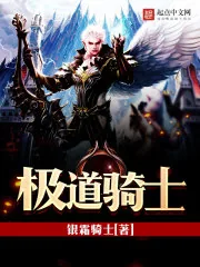 《极道骑士》小说封面