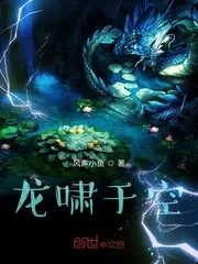 《龙啸于空》小说封面