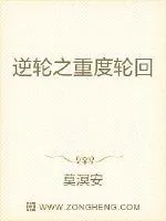 《逆轮之重度轮回》小说封面