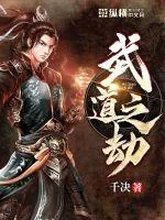 《武道之劫》小说封面