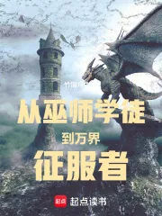《从巫师学徒到万界征服者》小说封面