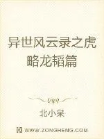 《异世风云录之虎略龙韬篇》小说封面