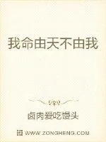 《我命由天不由我》小说封面