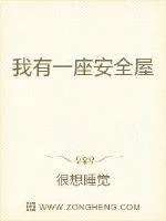 《我有一座安全屋》小说封面