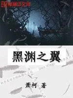 《黑渊之翼》小说封面