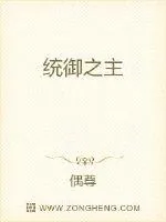 《统御之主》小说封面