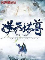 《逆天塔尊》小说封面