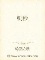 《刺秒》小说封面