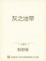 《灰之地带》小说封面
