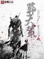 《葬天策》小说封面