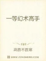 《一等幻术高手》小说封面