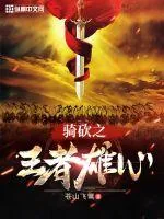 《骑砍之王者雄心》小说封面
