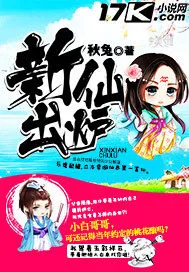 《新仙出炉》小说封面