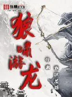 《狼啸游龙》小说封面