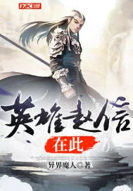 《英雄赵信在此》小说封面