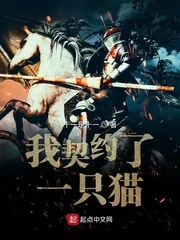 《我契约了一只猫》小说封面