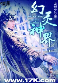 《幻灵神界》小说封面