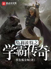 《哈利波特之学霸传奇》小说封面
