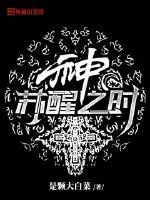 《神苏醒之时》小说封面