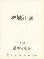 《神域狂澜》小说封面