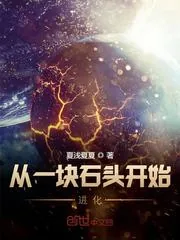 《从一块石头开始进化》小说封面