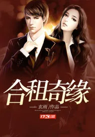 《合租奇缘》小说封面