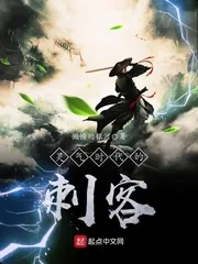 《灵气时代的刺客》小说封面