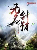 《无名剑鞘》小说封面