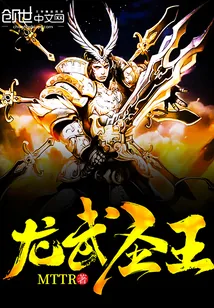 《龙武圣王》小说封面