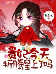 《贵妃今天折腾皇上了吗》小说封面