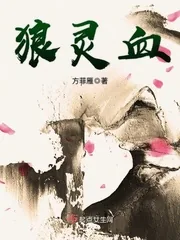 《狼灵血》小说封面