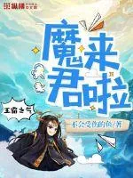 《魔君来啦》小说封面
