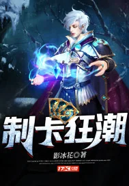 《制卡狂潮》小说封面