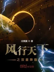《风行之十界》小说封面