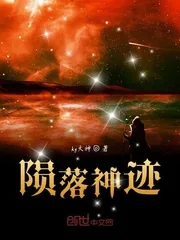 《陨落神迹》小说封面