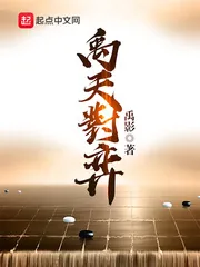 《禹天对弈》小说封面