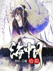《恰似海中月》小说封面