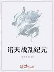 《诸天战乱纪元》小说封面
