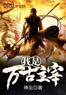 《我是万古主宰》小说封面
