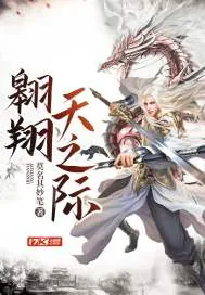 《翱翔天之际》小说封面