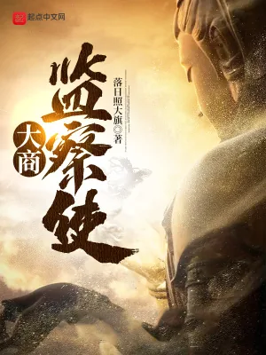 《大商监察使》小说封面