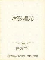 《暗影曙光》小说封面