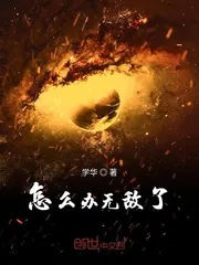 《怎么办无敌了》小说封面