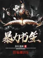 《暴力书生》小说封面