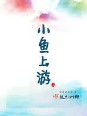 《小鱼上游》小说封面