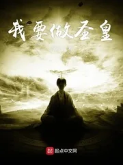 《我要做圣皇》小说封面