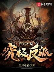 《我真不是究极反派》小说封面